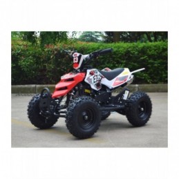 MINIQUAD RAPTOR XXL 49CC QUAD MINI ATV MINIATV ruote 6 carburatore 14mm"