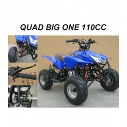 CARENE PLASTICHE QUAD 110CC...