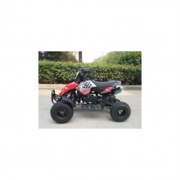 MINIQUAD RAPTOR 49CC 2...