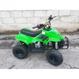 Carene plastiche quad 110cc...