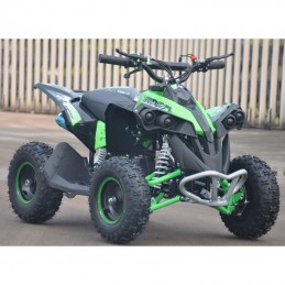 MINIATV MINIQUAD QUAD RENEGADE - 49cc easy start ruote 6" carburatore 14mm