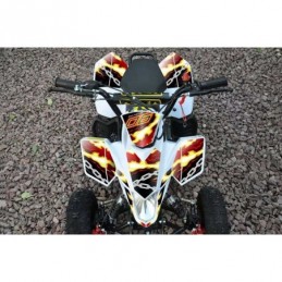 MINIQUAD FOX XXL 50cc 2 TEMPI RACING - QUAD ATV MODIFICHE INCLUSE