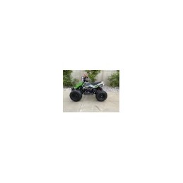 MINIQUAD RAPTOR XXL 49CC...