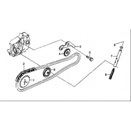 SET CATENA DISTRIBUZIONE YX...